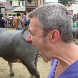 Cliquez pour agrandir l'image