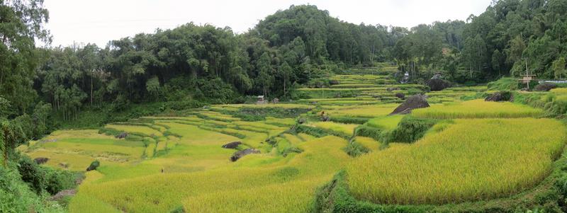 Cliquez pour agrandir l'image