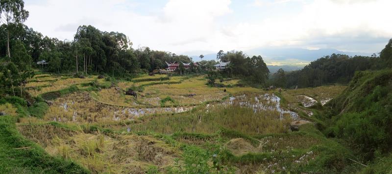 Cliquez pour agrandir l'image