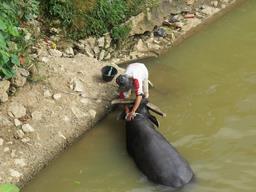 Cliquez pour agrandir l'image