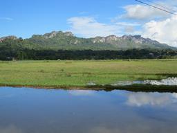 Cliquez pour agrandir l'image