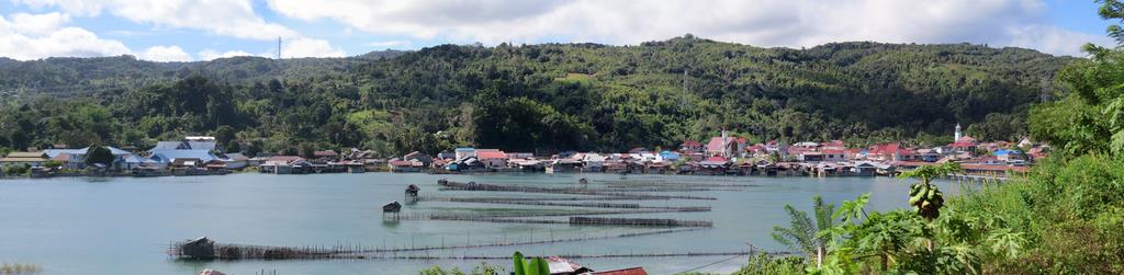 Cliquez pour agrandir l'image