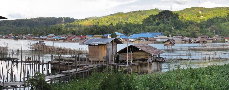 Cliquez pour agrandir l'image