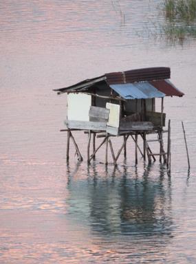 Cliquez pour agrandir l'image