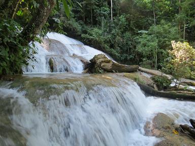 Cliquez pour agrandir l'image