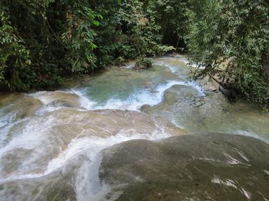 Cliquez pour agrandir l'image