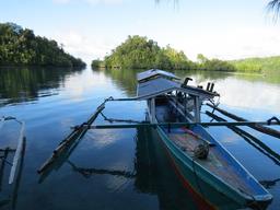 Cliquez pour agrandir l'image