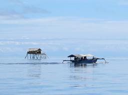 Cliquez pour agrandir l'image