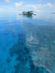 Cliquez pour agrandir l'image