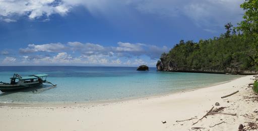 Cliquez pour agrandir l'image