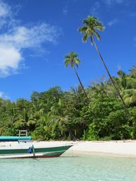 Cliquez pour agrandir l'image