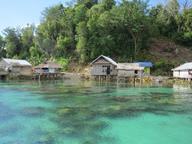 Cliquez pour agrandir l'image