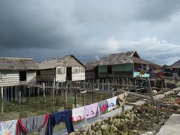 Cliquez pour agrandir l'image