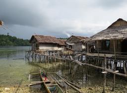 Cliquez pour agrandir l'image