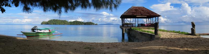 Cliquez pour agrandir l'image