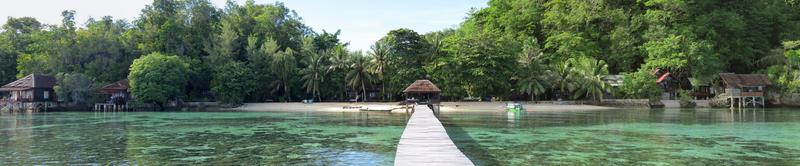 Cliquez pour agrandir l'image