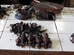 Cliquez pour agrandir l'image Cliquez pour agrandir l'image