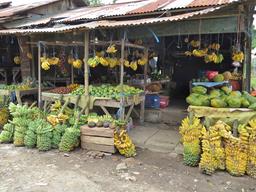 Cliquez pour agrandir l'image