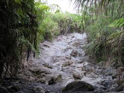 Cliquez pour agrandir l'image