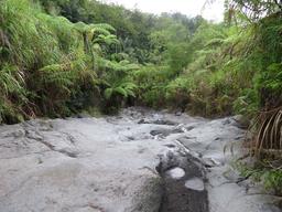 Cliquez pour agrandir l'image