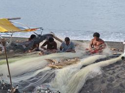 Cliquez pour agrandir l'image