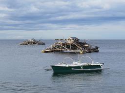 Cliquez pour agrandir l'image