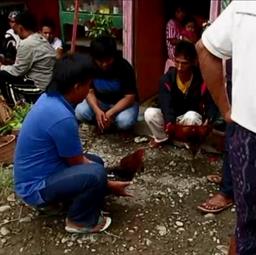 Cliquez pour agrandir l'image