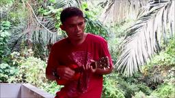 Cliquez pour agrandir l'image