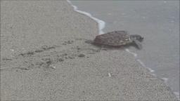 Cliquez pour agrandir l'image