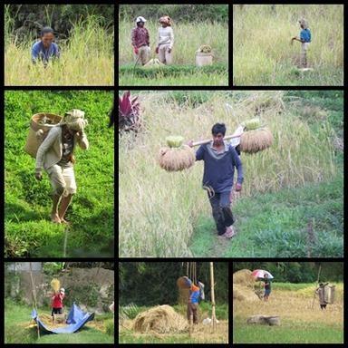 Cliquez pour agrandir l'image