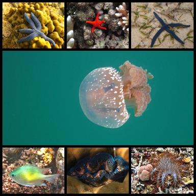 Cliquez pour agrandir l'image