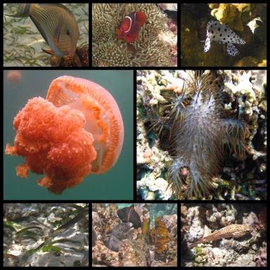 Cliquez pour agrandir l'image