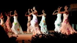 Cliquez pour agrandir l'image