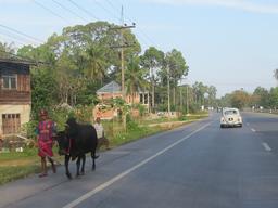 Cliquez pour agrandir l'image