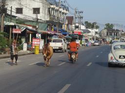 Cliquez pour agrandir l'image