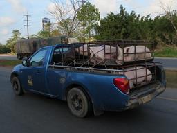 Cliquez pour agrandir l'image