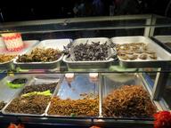 Cliquez pour agrandir l'image