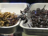 Cliquez pour agrandir l'image