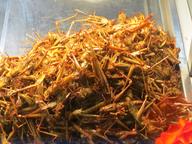 Cliquez pour agrandir l'image