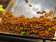 Cliquez pour agrandir l'image