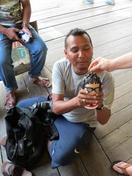 Cliquez pour agrandir l'image