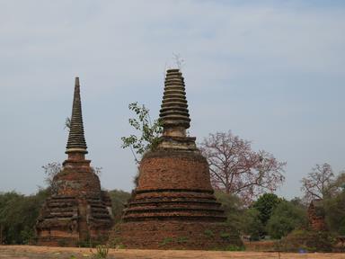 Cliquez pour agrandir l'image