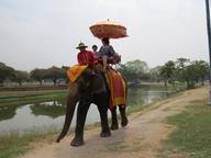 Cliquez pour agrandir l'image