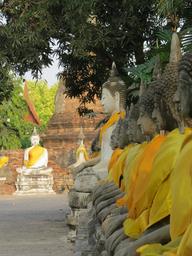 Cliquez pour agrandir l'image