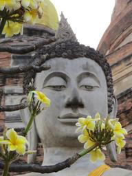 Cliquez pour agrandir l'image