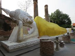 Cliquez pour agrandir l'image