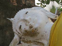 Cliquez pour agrandir l'image