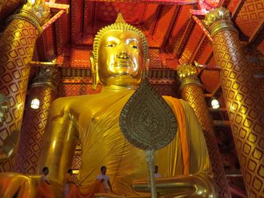 Cliquez pour agrandir l'image