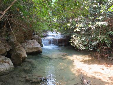 Cliquez pour agrandir l'image