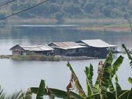 Cliquez pour agrandir l'image